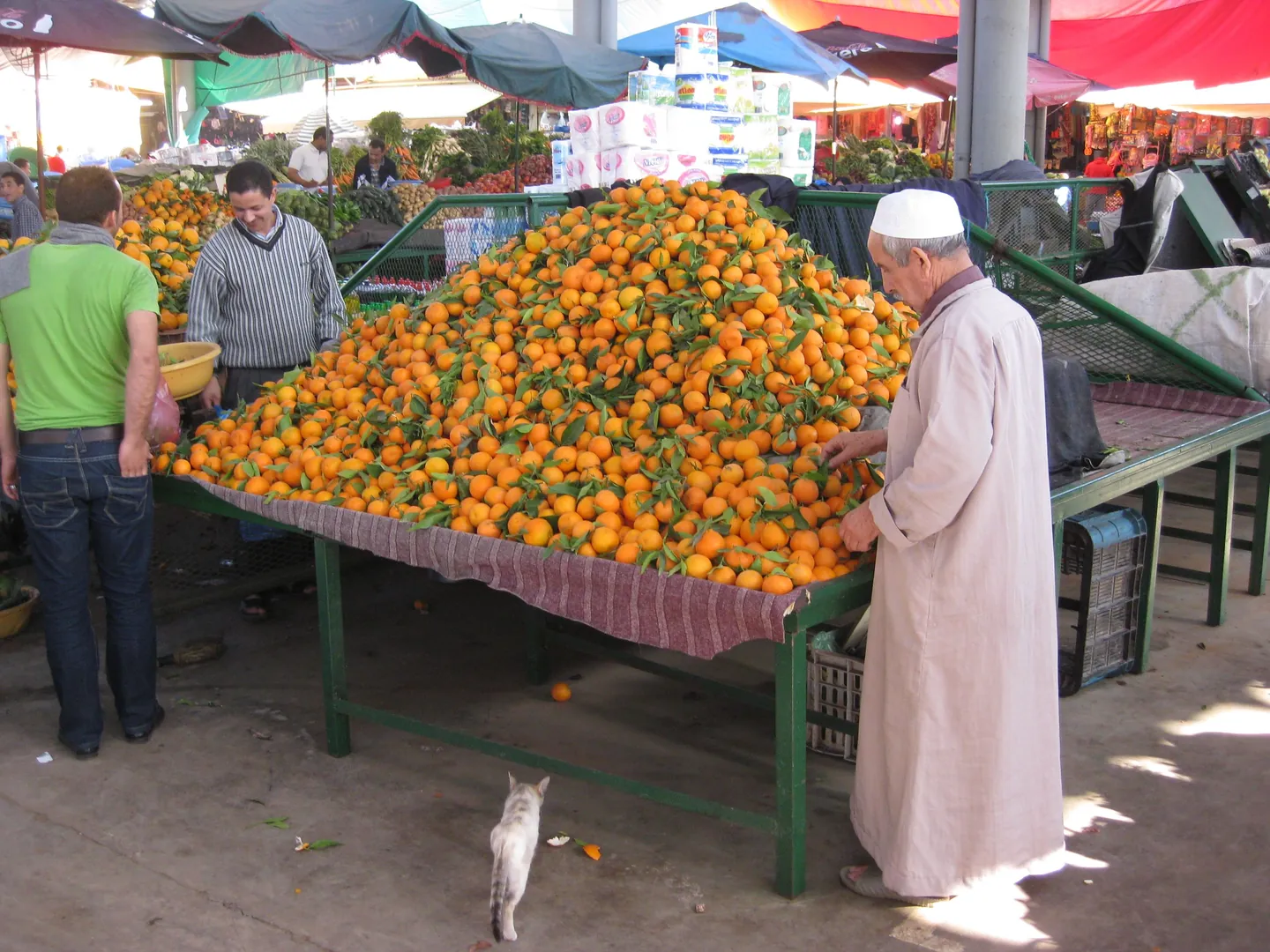 Étal d’oranges et commerçants au Souk El Had d’Agadir